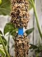 Tutor de Musgo Sphagnum con Riego por Goteo Integrado (Escalable 50 cm - 100 cm) - Miniatura 3