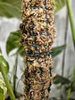 Tutor de Musgo Sphagnum con Riego por Goteo Integrado (Escalable 50 cm - 100 cm) - Miniatura 4