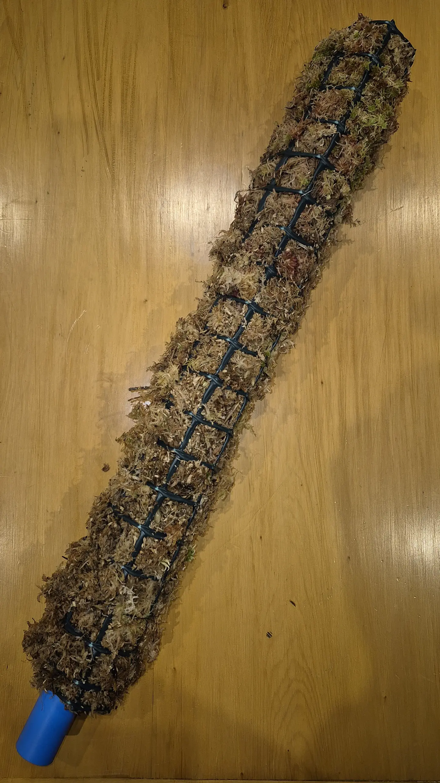 Tutor de Musgo Sphagnum con Riego por Goteo Integrado (Escalable 50 cm - 100 cm) 2
