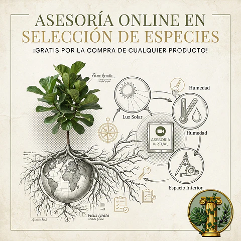 Asesoría virtual en Selección de Especies
