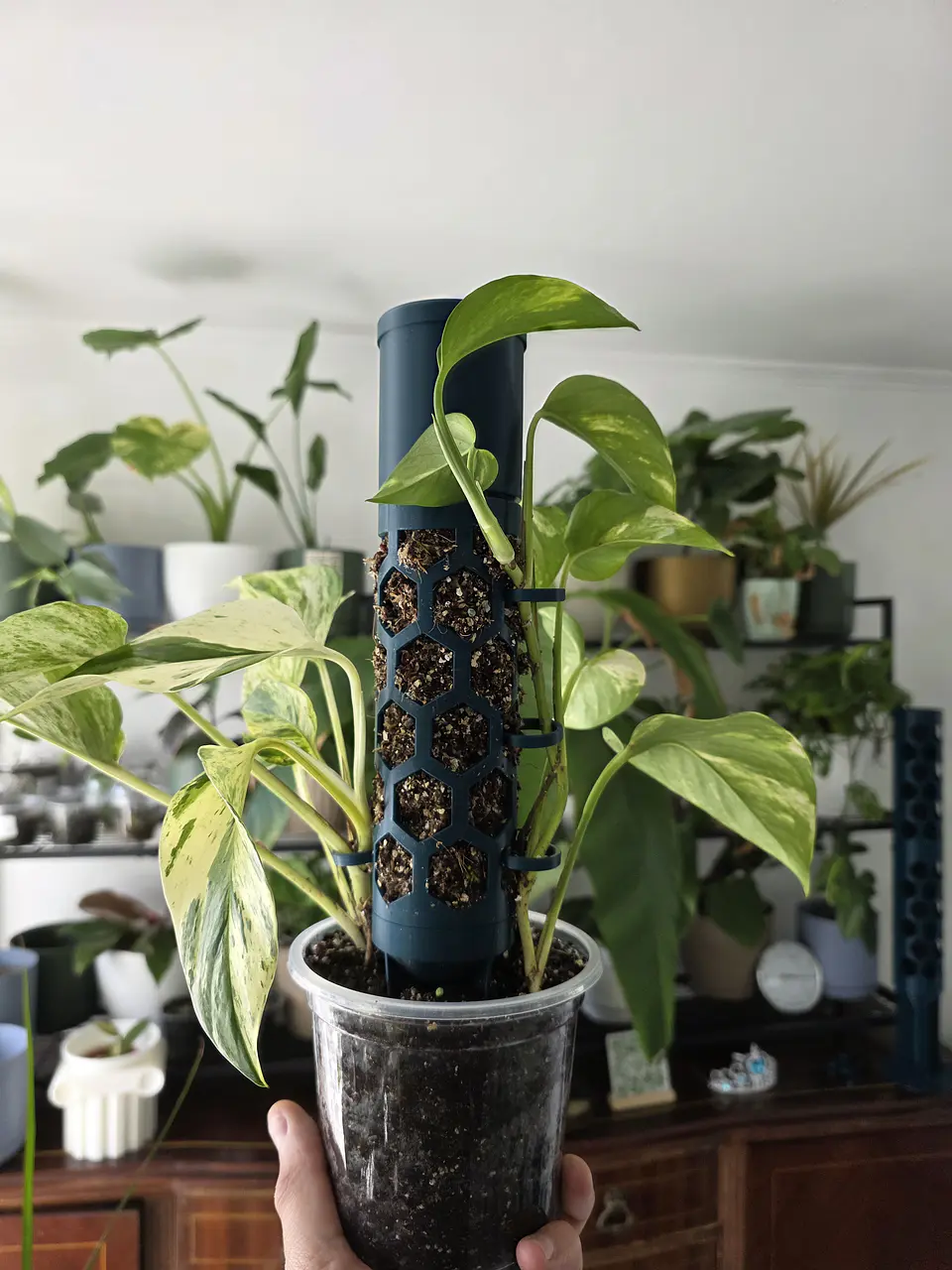 Columna Biofílica Ágora verde 2