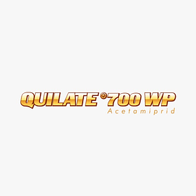 Quilate 700 WP ( 250grs )