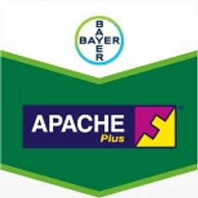 Apache plus ( 1 litro )