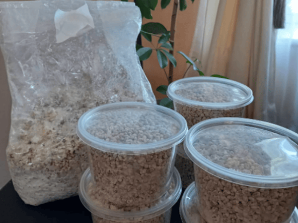 Tips para preparar nuestra Semilla 