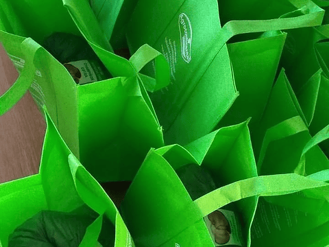 Kit de Autocultivo Hongo Ostra Florida