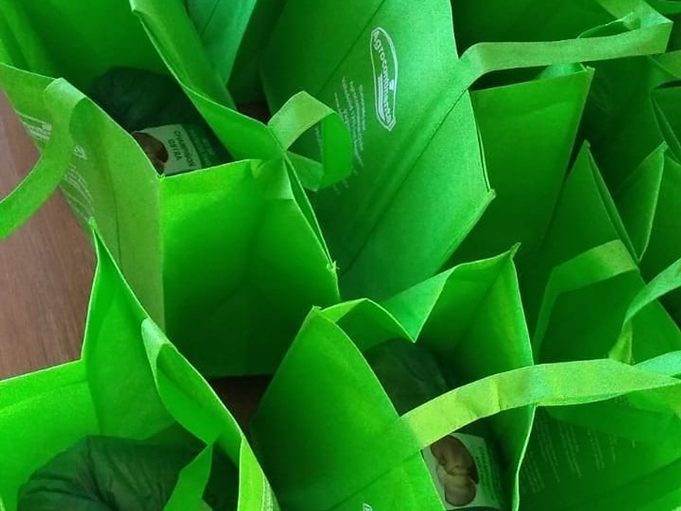 Kit de Autocultivo Hongo Ostra Florida 2