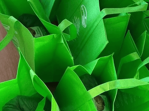 Kit de Autocultivo de Cola de Pavo