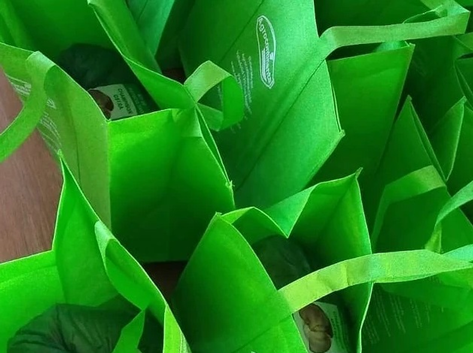 Kit de Autocultivo de Cola de Pavo 2