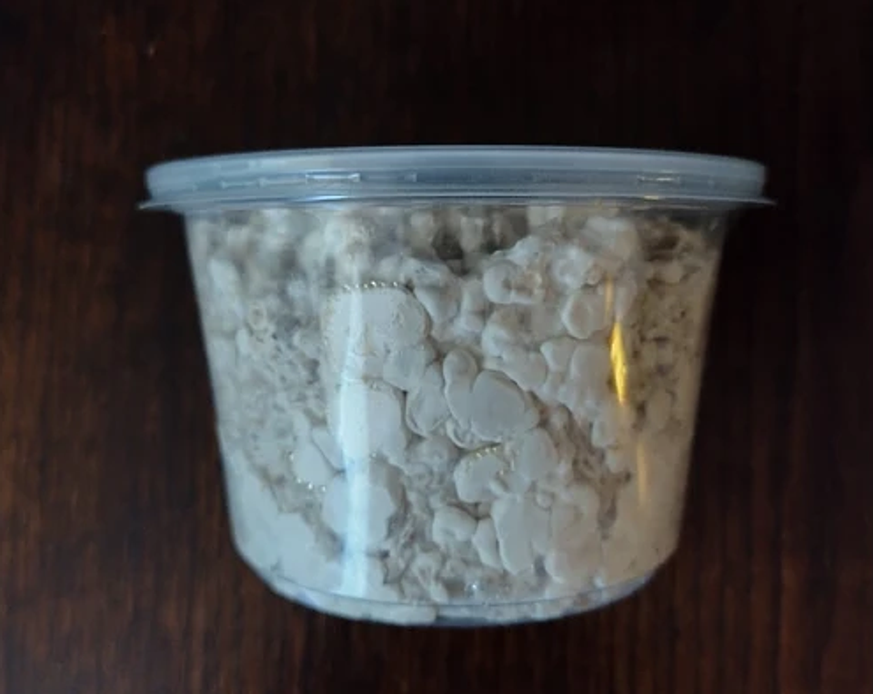 Monopack de Cultivo de Melena de León. 2