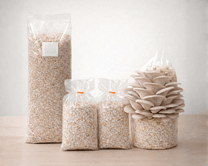 Pack de Cultivo de Hongo Ostra Perla