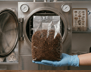 Fibra de coco Esterilizada