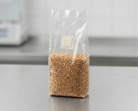 Grano de trigo  Estéril