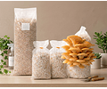 Pack de Cultivo de Hongo Ostra Amarilla