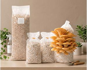 Pack de Cultivo de Hongo Ostra Amarilla