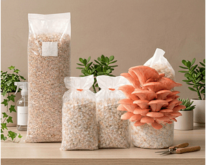 Pack de Cultivo de Hongo Ostra Rosada