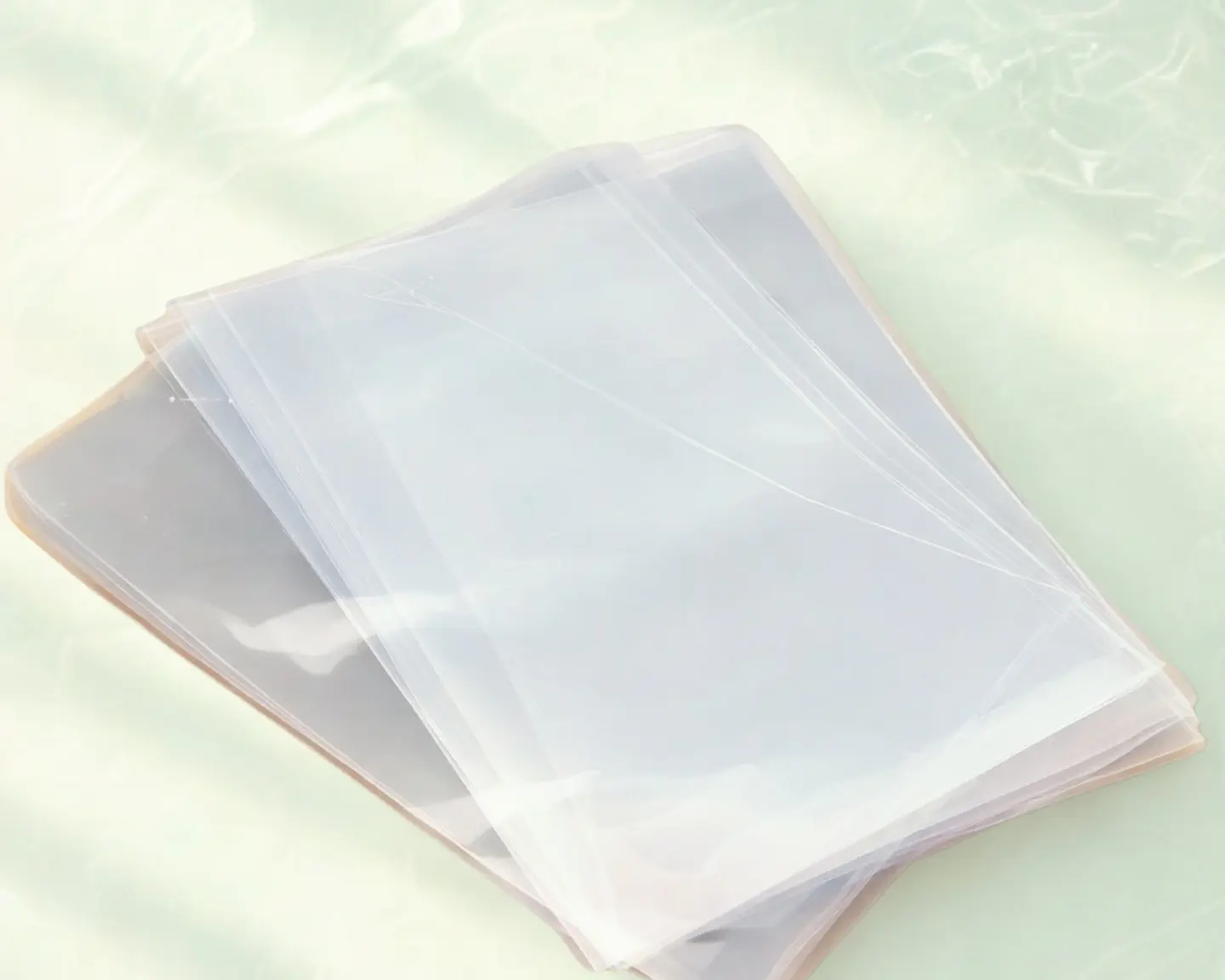 Bolsas de Transparentes de polipropileno (20 unidades) 1