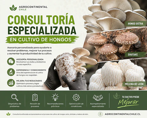 Consultoría Personalizada de Hongos