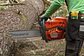 Motosierra Husqvarna 585 - Miniatura 3