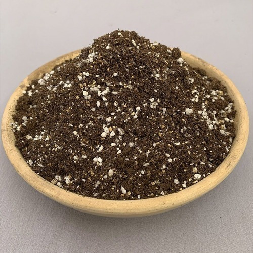 Sustrato Especial para Cactus y Suculentas x 1kg | Drenaje Perfecto - Agrosamario 2
