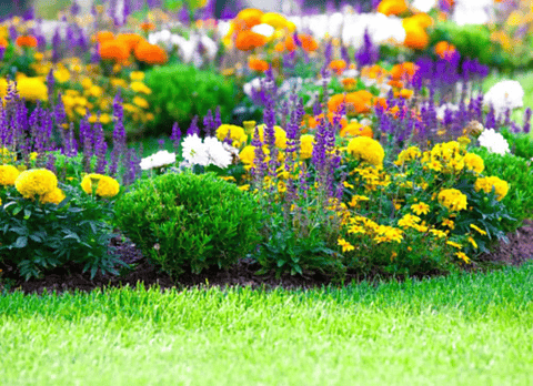 Fertilizante Incoagro 10-30-10 Ltr