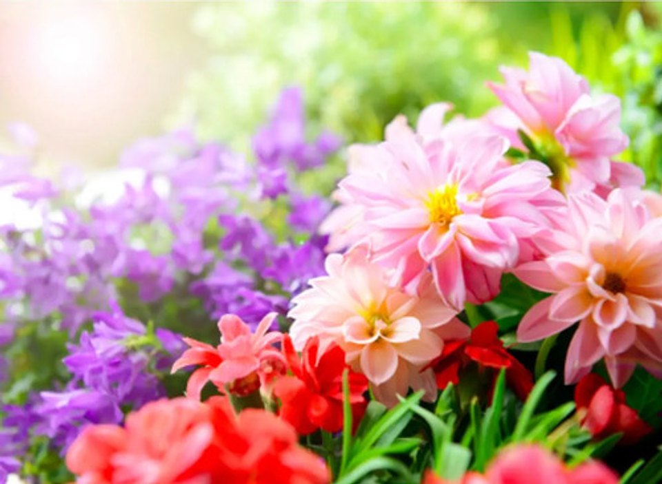 Fertilizante Incoagro 10-30-10 Ltr 3