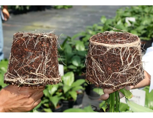 Micorriza Safer X Bulto 50 Kg | Agrosamario 3