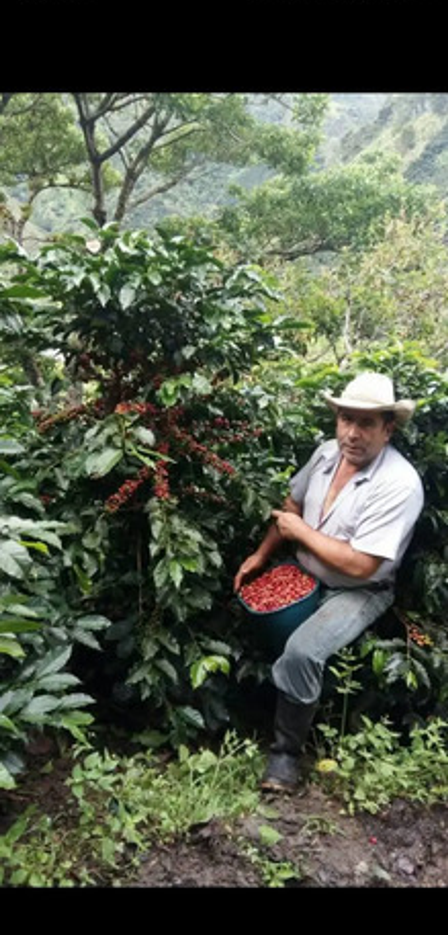 Cafe Molido Coffe Caramel X 500 Gr X 2 Uni Santa Maria Huila 5