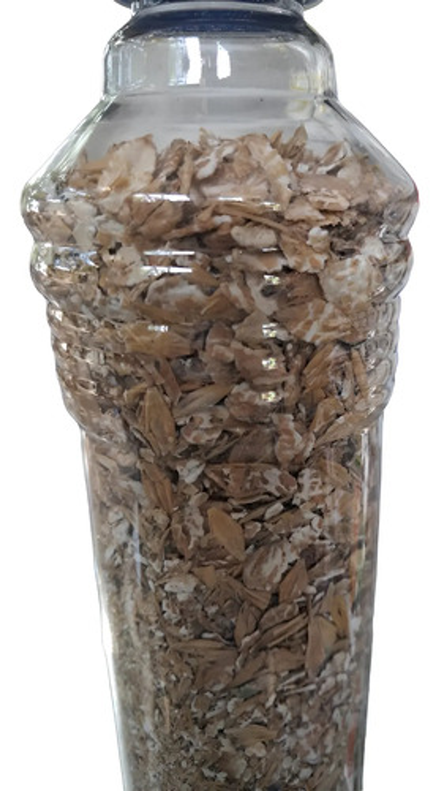 Cebo Control Hormiga Arriera 2