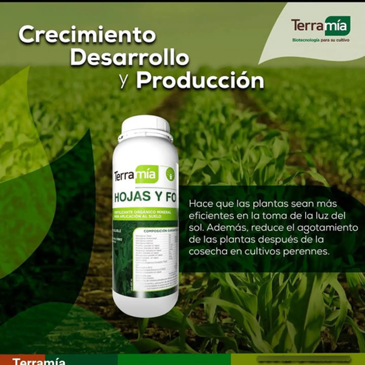 Terramia Fertilizante Líquido Hojas y Forrajes (1L, 4L, 20L) | Agrosamario 4