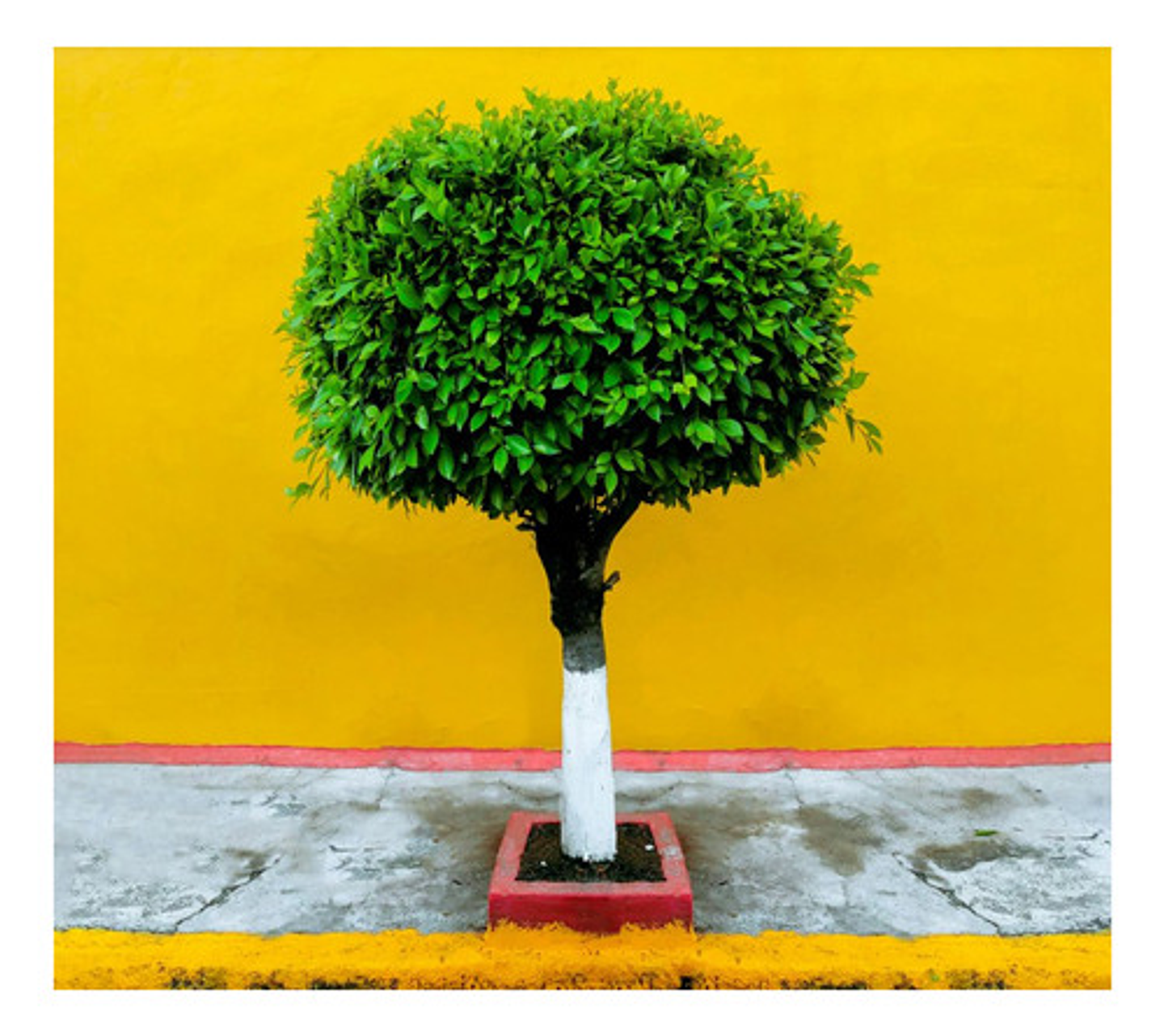 Cal Extra Hidratada Para Pintar Exteriores X 10 Kilos 8