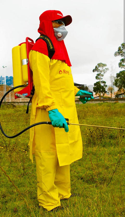 Tapaboca Mascarilla Royal Condo