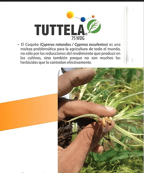 Tuttela Control Coquito Y Cortaderas Para 200litros X 100 Gr