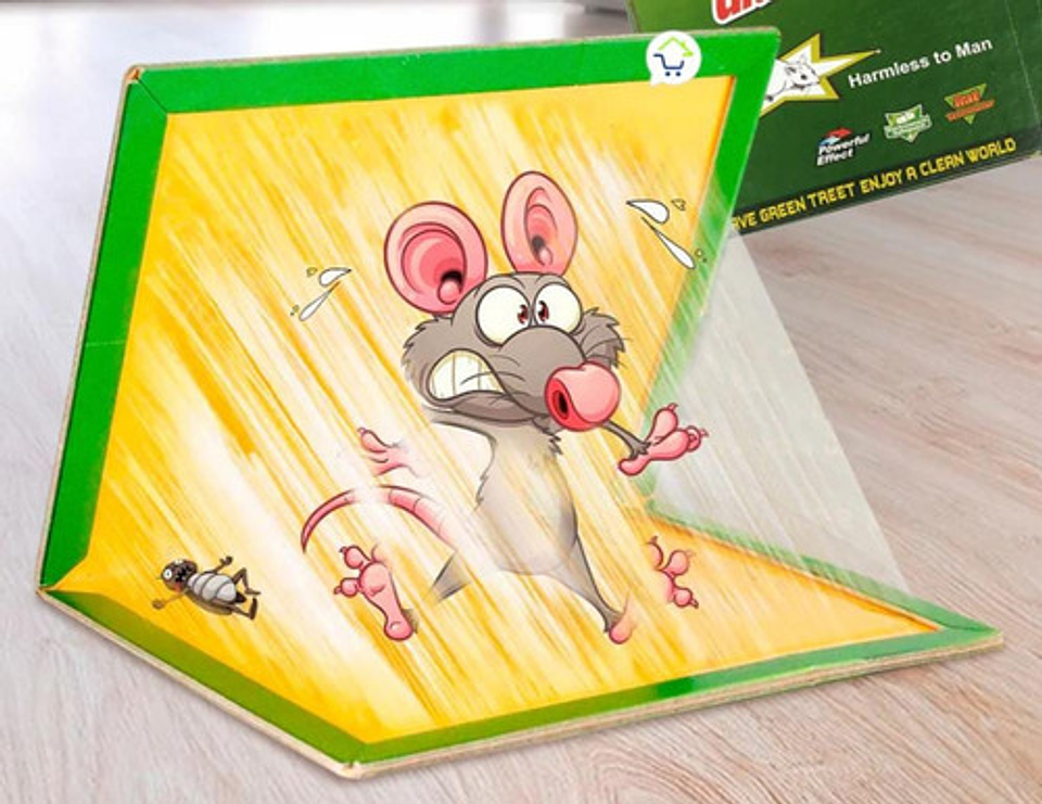 Pegante Trampa Ratones Grande 4