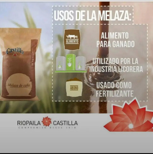 Melaza Miel De Purga 30kg y 1kg Agrosamario 5