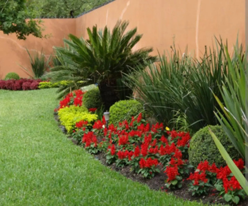 10-30-10 Fertilizante Foliar Jardin Cultivos 4