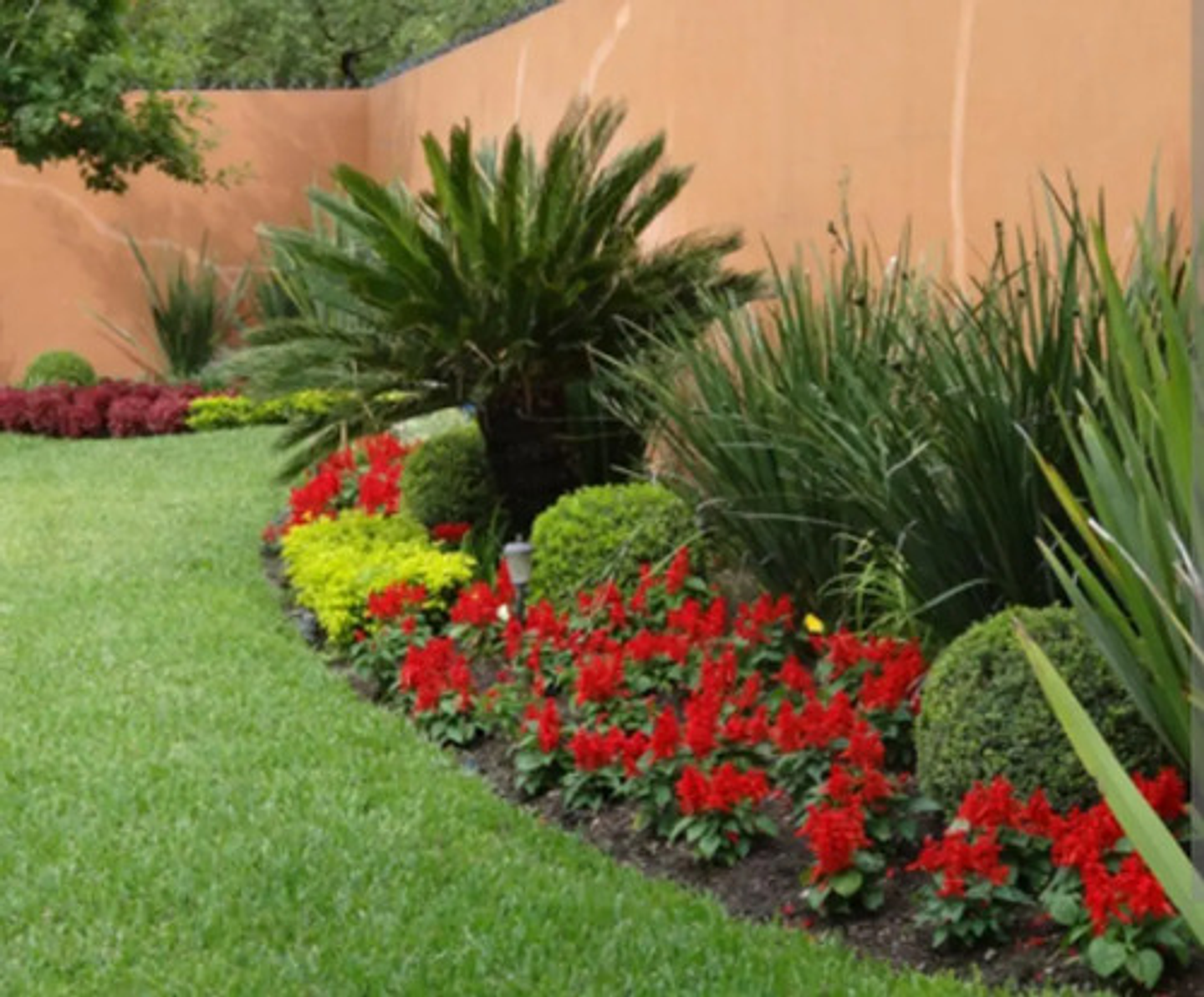 10-30-10 Fertilizante Foliar Jardin Cultivos 4