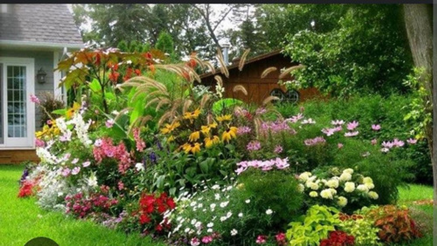 10-30-10 Fertilizante Foliar Jardin Cultivos 5