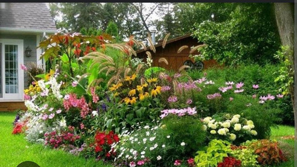 10-30-10 Fertilizante Foliar Jardin Cultivos 5