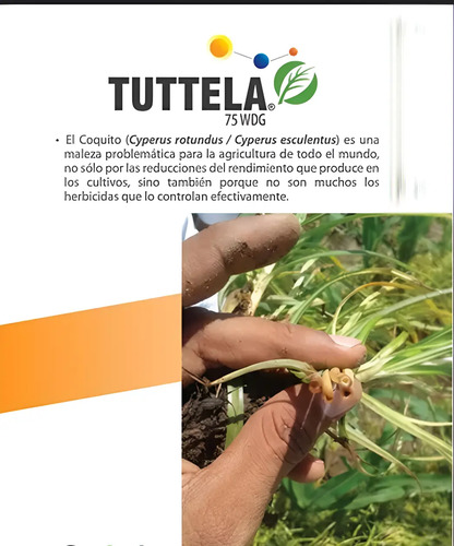 Tuttela Herbicida (Halosulfuron) | Control de Coquito y Cortaderas | 10g - 100g | Agrosamario 1