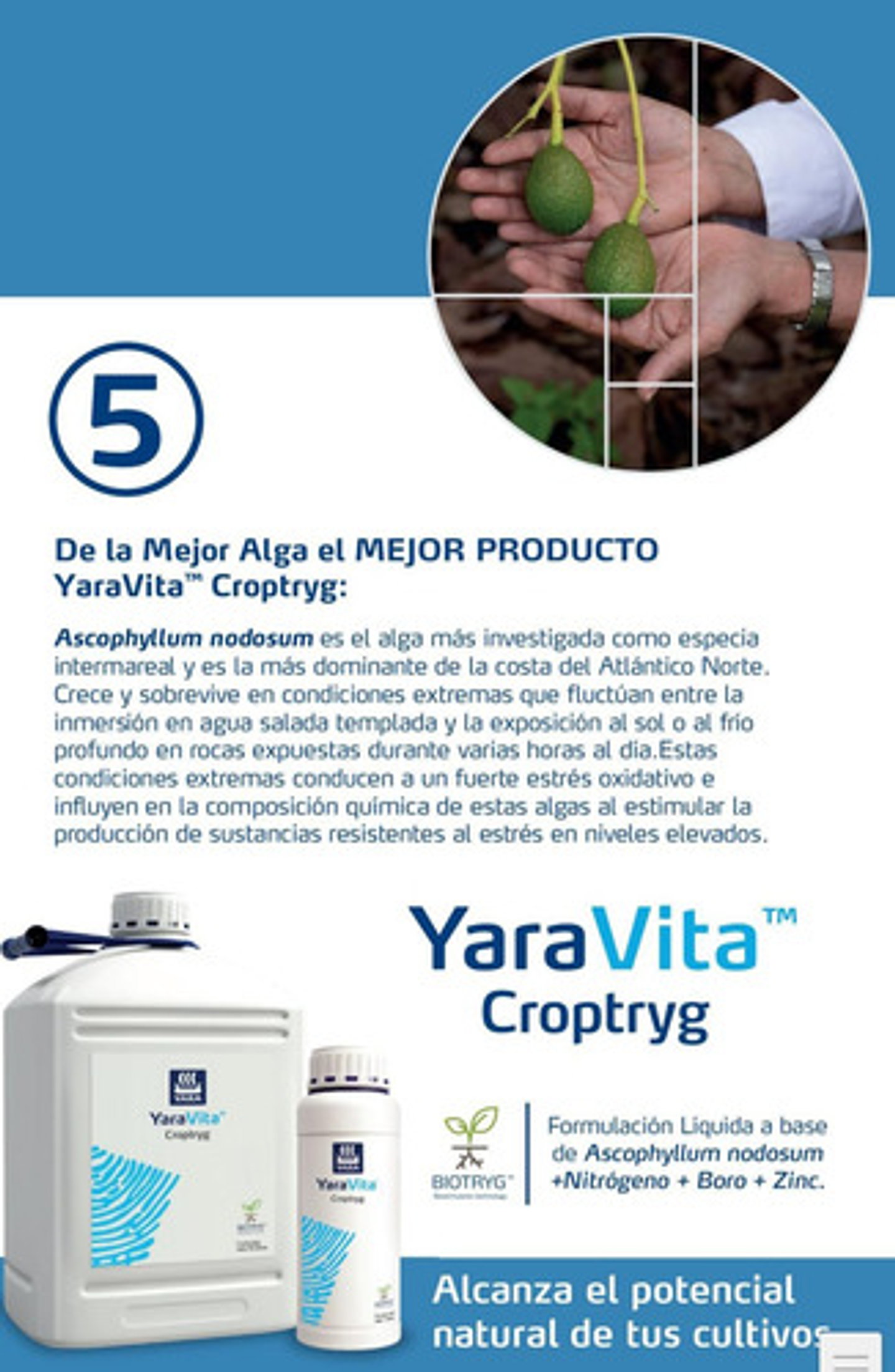 Yaravita  Croptryg  X  Lt Fertilizante 5