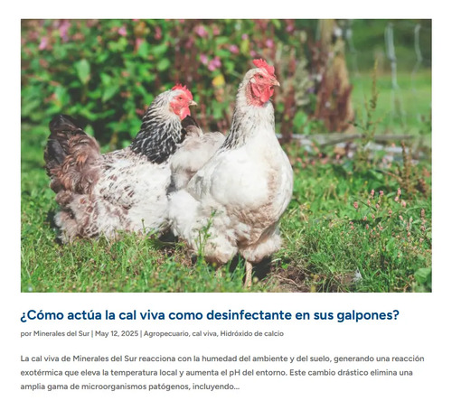 Cal Viva (Óxido de Calcio) - Bulto 50 Kg - 12.5Kg | Agrosamario 6