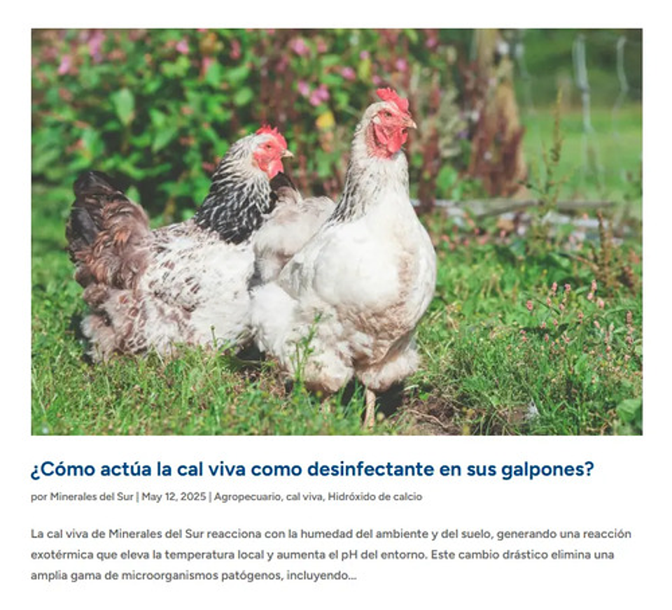 Cal Viva Oxido De Calcio - 50 Kg 6