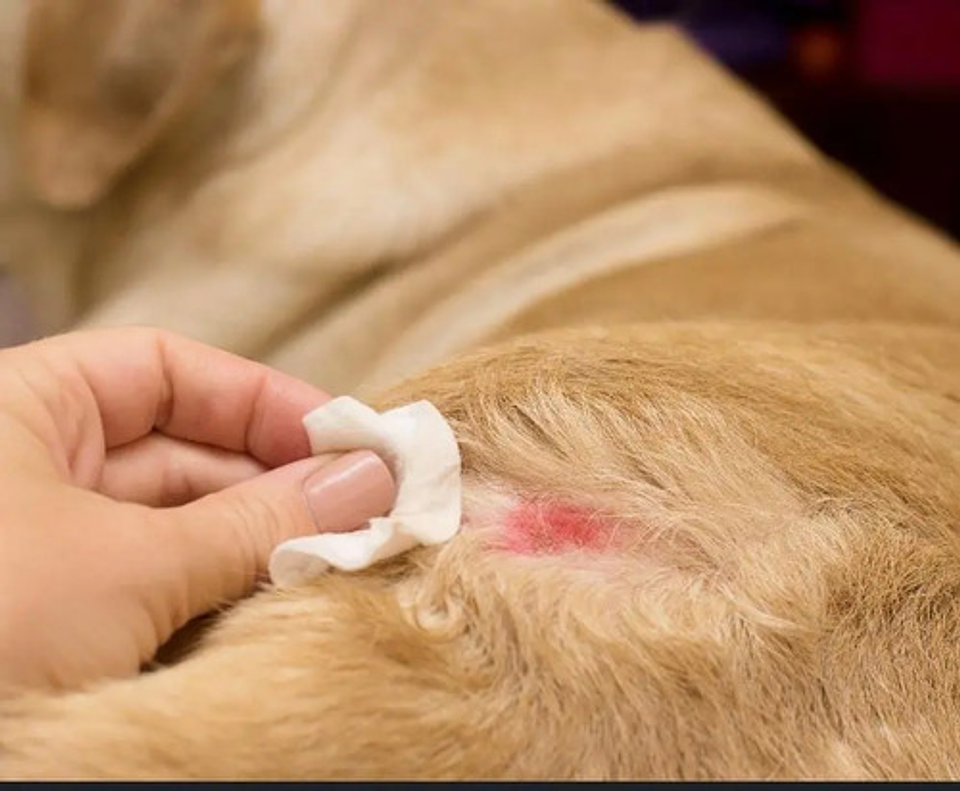 Cutamycon Vf Crema De 35g Chalv 4