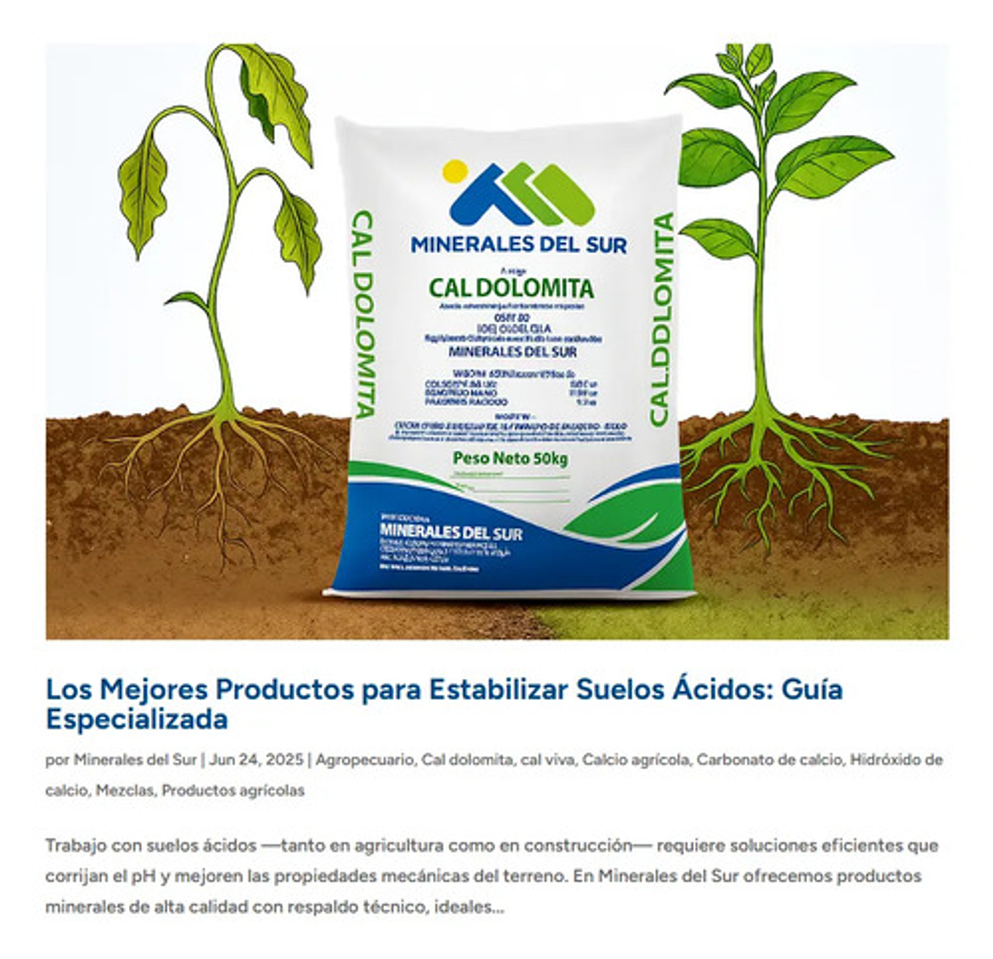 Cal Dolomita Minerales Del Sur Enmienda - 50 Kg 4