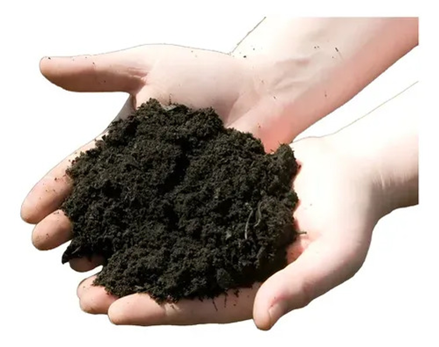 Sustrato Fercon 1kg Forza Mix Cultivo Plantas Turba 3