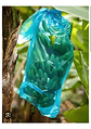 Bolsa Para Plátano X 50 Unidade - Miniatura 10