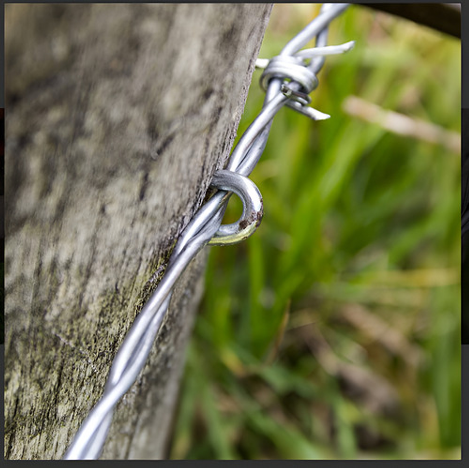 Grapa Cerco Puma 800gr 7