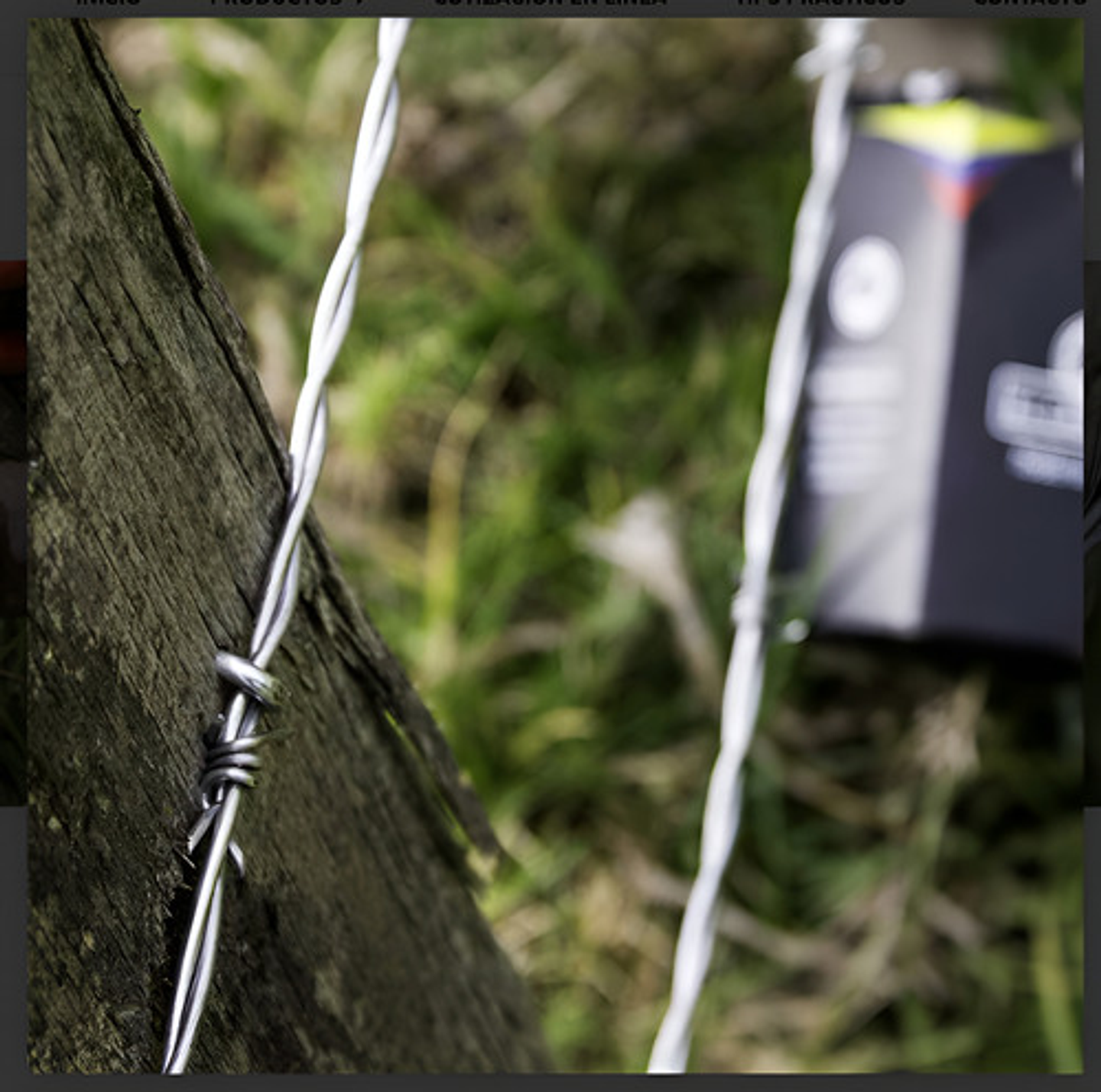 Grapa Cerco Puma 800gr 8