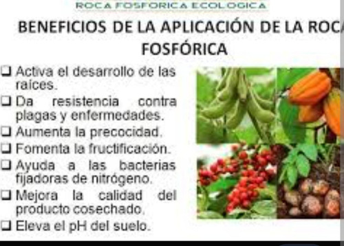 Roca Fosfórica 26% Minerales del Sur (50 kg) | Enmienda Mineral | Agrosamario 3