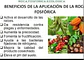 Roca Fosfórica 26% Minerales del Sur (Enmienda Suelos) - 50 Kg | Agrosamario - Miniatura 3